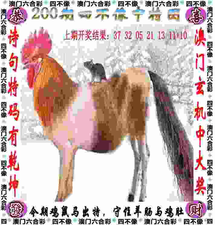 49队通过三级联赛准入，青岛三队在列，沧州广州未通过准入